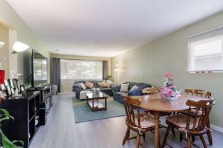 Photo 4: 4052 PENDER Street in Burnaby: Willingdon Heights House for sale (Burnaby North)  : MLS®# R2492436
