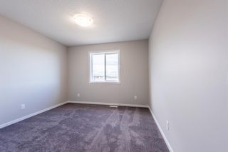 Photo 20: 116 Cityspring Way NE in Calgary: Cityscape Detached for sale : MLS®# A2017139