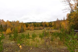 Photo 17: LOT A 37 Highway: Kitwanga Land for sale (Smithers And Area (Zone 54))  : MLS®# R2506362