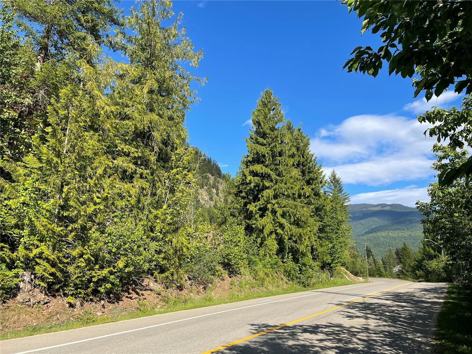 Main Photo: 46 Old Town Road, in Sicamous: Vacant Land for sale : MLS®# 10256751