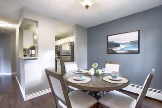 Photo 26: 303 130 25 Avenue SW in Calgary: Mission Apartment for sale : MLS®# A1023034