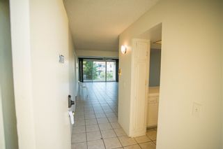 Photo 4: PACIFIC BEACH Condo for sale : 2 bedrooms : 4944 Cass St #201 in San Diego