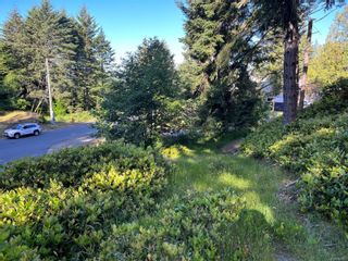 Photo 3: 7355 Thornton Hts in Sooke: Sk Silver Spray Land for sale : MLS®# 907447