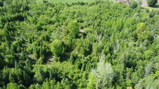 Photo 9: East River West Side Road in Bridgeville: 108-Rural Pictou County Vacant Land for sale (Northern Region)  : MLS®# 202204450