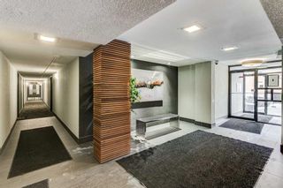 Photo 13: 205 1027 Cameron Avenue SW in Calgary: Lower Mount Royal Apartment for sale : MLS®# A2123050