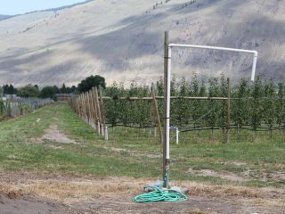 Photo 10: LOT 12 OSPREY Lane: Keremeos Agriculture for sale