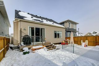 Photo 27: 521 Bayside Row SW: Airdrie Detached for sale : MLS®# A2029922