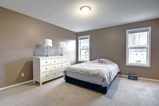 Photo 32: 42 Martha's Place NE in Calgary: Martindale Detached for sale : MLS®# A1203150