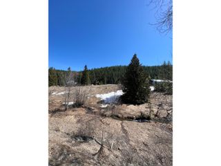 Photo 15: 201 JOLIFFE WAY in Rossland: Vacant Land for sale : MLS®# 2475917