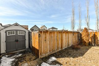 Photo 30: 368 Copperstone Grove SE in Calgary: Copperfield Detached for sale : MLS®# A1084399