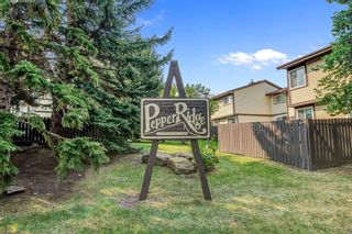 Photo 4: 3 115 Bergen Road NW in Calgary: Beddington Heights Row/Townhouse for sale : MLS®# A1240851