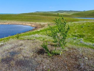 Photo 6:  in Kamloops: Knutsford-Lac Le Jeune Lots/Acreage for sale : MLS®# 169998