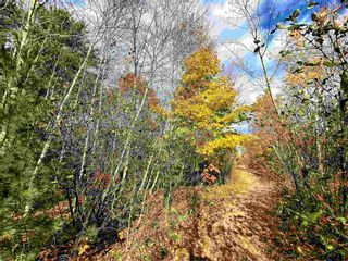 Photo 7: LOT 0 Aalders Avenue in New Minas: Kings County Vacant Land for sale (Annapolis Valley)  : MLS®# 202223092