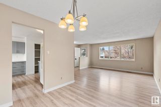 Photo 17: 363 knottwood Road W in Edmonton: Zone 29 House for sale : MLS®# E4380646