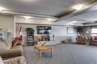 Photo 34: Calgary Real Estate - Millrise Condo Sold By Calgary Realtor Steven Hill or Sotheby's International Realty Canada Calgary