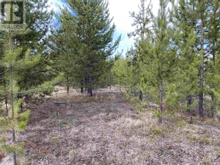 Photo 6: Lot B LONE BUTTE HORSE LAKE ROAD in 100 Mile House: Vacant Land for sale : MLS®# R2870362