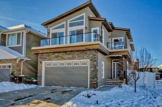 Main Photo: 105 Evansborough Green NW in Calgary: Evanston Detached for sale : MLS®# A2023716