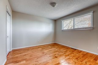 Photo 11: 1008 32 Street SE in Calgary: Albert Park/Radisson Heights Detached for sale : MLS®# A1090391