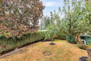 Photo 33: 21706 122 Avenue in Maple Ridge: West Central House for sale : MLS®# R2733648