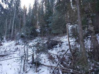 Photo 3: 1427 GOOSE COUNTRY Road in Prince George: Old Summit Lake Road Land for sale (PG City North)  : MLS®# R2837880