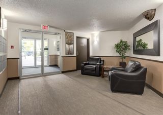 Photo 22: 208 11 Dover Point SE in Calgary: Dover Apartment for sale : MLS®# A1151634
