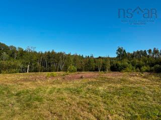 Photo 4: 13 acres Park Falls Road in Sutherlands River: 108-Rural Pictou County Vacant Land for sale (Northern Region)  : MLS®# 202318644