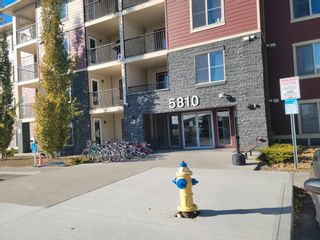 Photo 2: 403 5810 MULLEN PLACE Place in Edmonton: Zone 14 Condo for sale : MLS®# E4342518