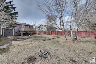 Photo 26: 3731 45 Street in Edmonton: Zone 29 House for sale : MLS®# E4342421