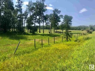 Photo 4: Hwy 780 Twp Rd 470: Rural Wetaskiwin County Rural Land/Vacant Lot for sale : MLS®# E4288613
