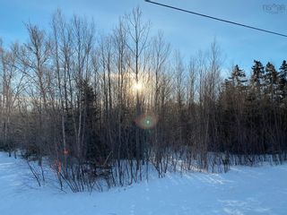 Photo 9: Lot 1 Powell Road in Little Harbour: 108-Rural Pictou County Vacant Land for sale (Northern Region)  : MLS®# 202201581