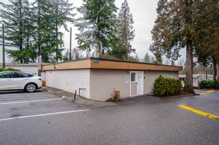 Photo 35: 178 3665 244 Street in Langley: Otter District Manufactured Home for sale in "LANGLEY GROVE ESTATES" : MLS®# R2748566