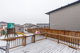 Photo 28: 550 LUXSTONE Place SW: Airdrie Detached for sale : MLS®# C4293156