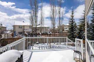 Photo 41: 13 Royal Birch Hill NW in Calgary: Royal Oak Detached for sale : MLS®# A2121795