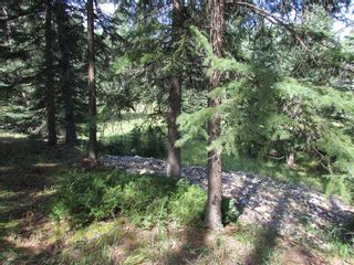 Photo 25: 108 32433 Range Road 61: Rural Mountain View County Residential Land for sale : MLS®# A1254404
