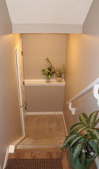 Photo 28: 29 Windford Park SW: Airdrie Detached for sale : MLS®# A2048962