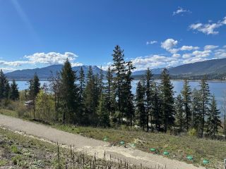 Photo 30: Lots 1 or 3 3648 Braelyn Road in Tappen: Sunnybrae Estates Land Only for sale (Shuswap Lake)  : MLS®# 10310808