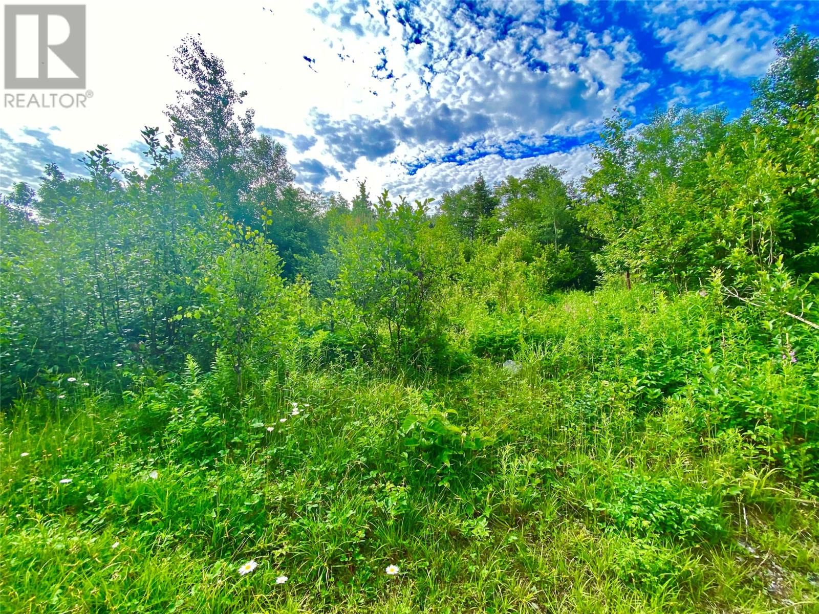 Main Photo: 0 Road to the Isles in Lewsiporte: Vacant Land for sale : MLS®# 1247559