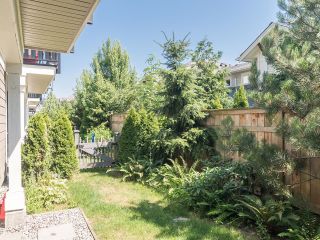 Photo 25: 48 8050 204 Street in Langley: Willoughby Heights Townhouse for sale in "Ashbury and Oak" : MLS®# R2713177