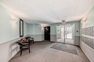 Photo 34: 118 20 Dover Point SE in Calgary: Dover Apartment for sale : MLS®# A2124249