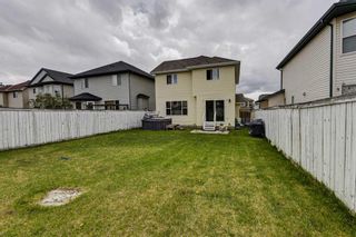 Photo 30: 165 Coventry Court NE in Calgary: Coventry Hills Detached for sale : MLS®# A1112287