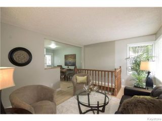 Photo 4: 29 Humboldt Avenue in WINNIPEG: St Vital Residential for sale (South East Winnipeg)  : MLS®# 1527574