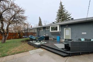 Photo 28: 8512 Fairmount Drive SE in Calgary: Acadia Detached for sale : MLS®# A2130294