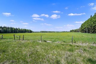 Photo 11: 5212 Township Road 312: Rural Mountain View County Residential Land for sale : MLS®# A1219602