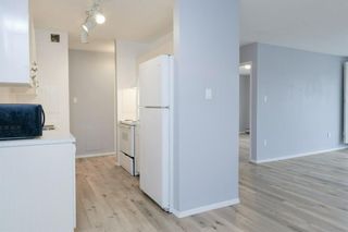 Photo 12: 802 8948 Elbow Drive SW in Calgary: Haysboro Apartment for sale : MLS®# A1214675