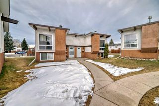 Photo 33: 223 Pinemont Road NE in Calgary: Pineridge Semi Detached (Half Duplex) for sale : MLS®# A2120307