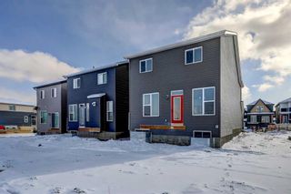 Photo 27: 169 BELMONT Green SW in Calgary: Belmont Detached for sale : MLS®# A2112555