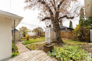 Photo 9: 5321 111 Avenue in Edmonton: Zone 09 House for sale : MLS®# E4277040