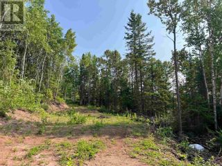Photo 5: 131 Second Line RD in Sault Ste. Marie: Vacant Land for sale : MLS®# SM232556