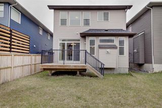 Photo 35: 18 EVANSFIELD Park NW in Calgary: Evanston Detached for sale : MLS®# C4295619