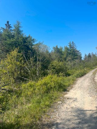 Photo 7: Lot Killam Road in Hillview: County Hwy 1 Vacant Land for sale (Yarmouth)  : MLS®# 202310691